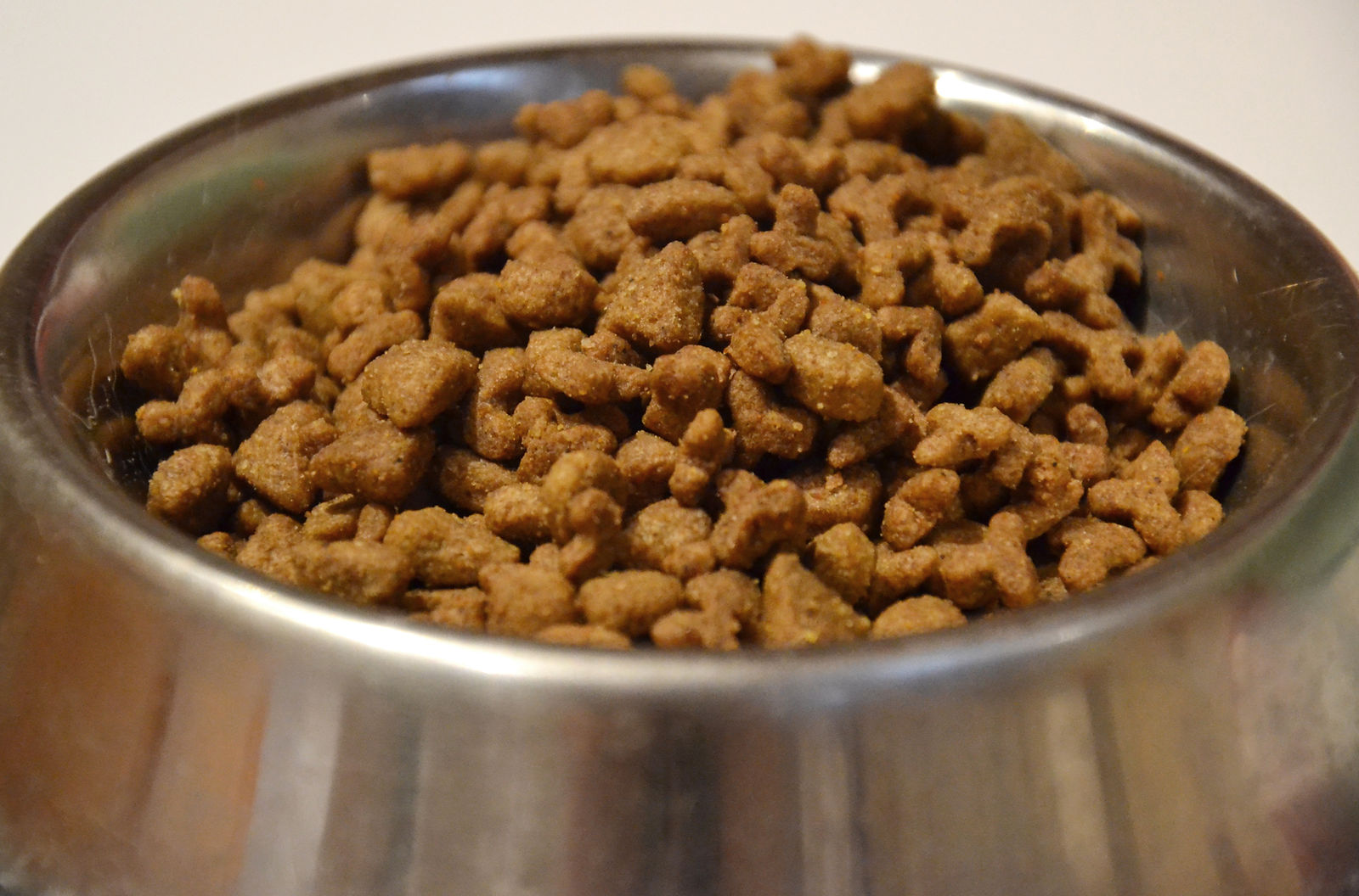 Consejos de nutrición para mascotas